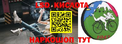 крисы Шахты