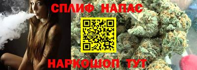 крисы Шахты