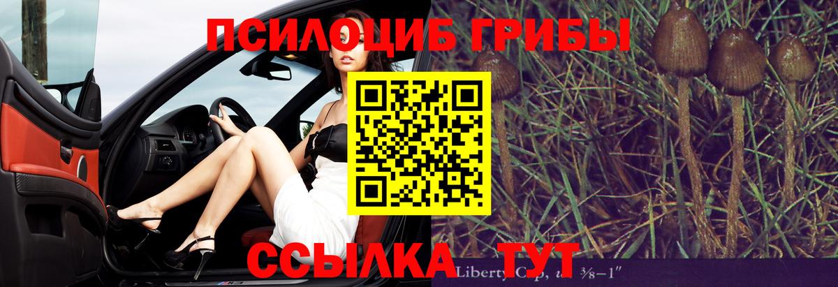 Галлюциногенные грибы MAGIC MUSHROOMS  Вход с VPN  Боровичи 